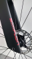 Preview: Simplon Pride II - cosmic-red