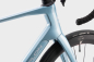Preview: Simplon Pavo IV